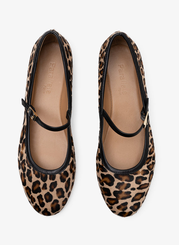 Parallèle DAKOTA –