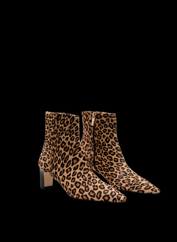 Parallèle ELENA –