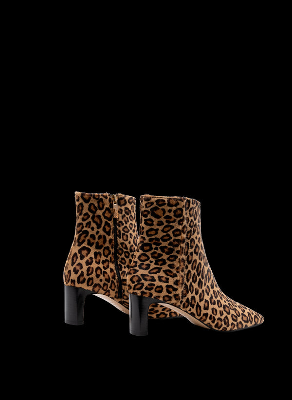 Parallèle ELENA –