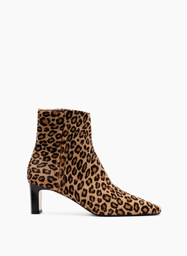 parallèle ELENA –