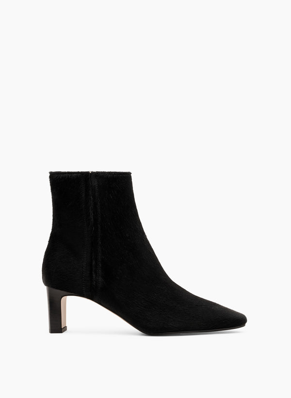 parallèle ELENA –