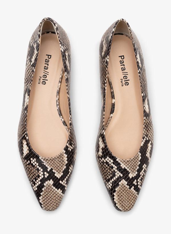 Parallèle ESTRELLA –