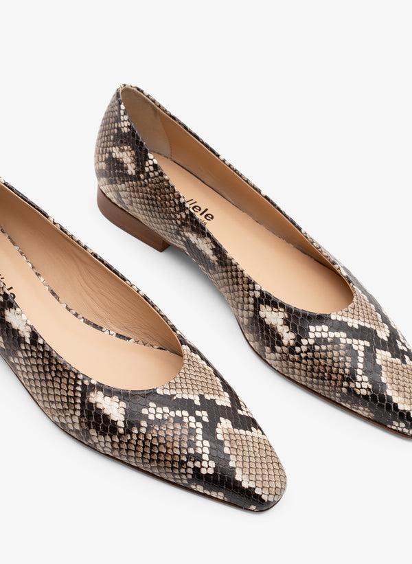 Parallèle ESTRELLA –