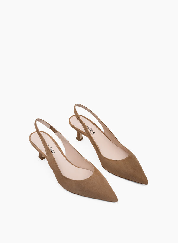 Parallèle NARCISSO –