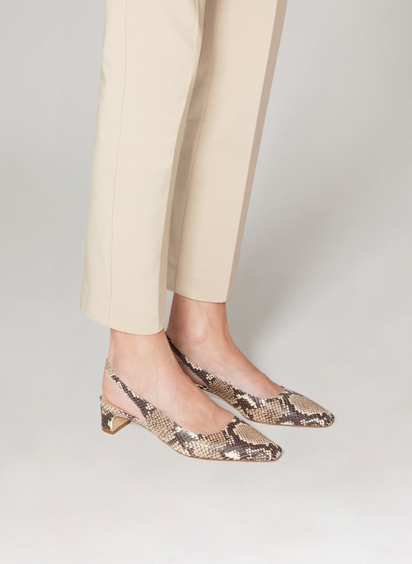 Parallèle NEVADA –