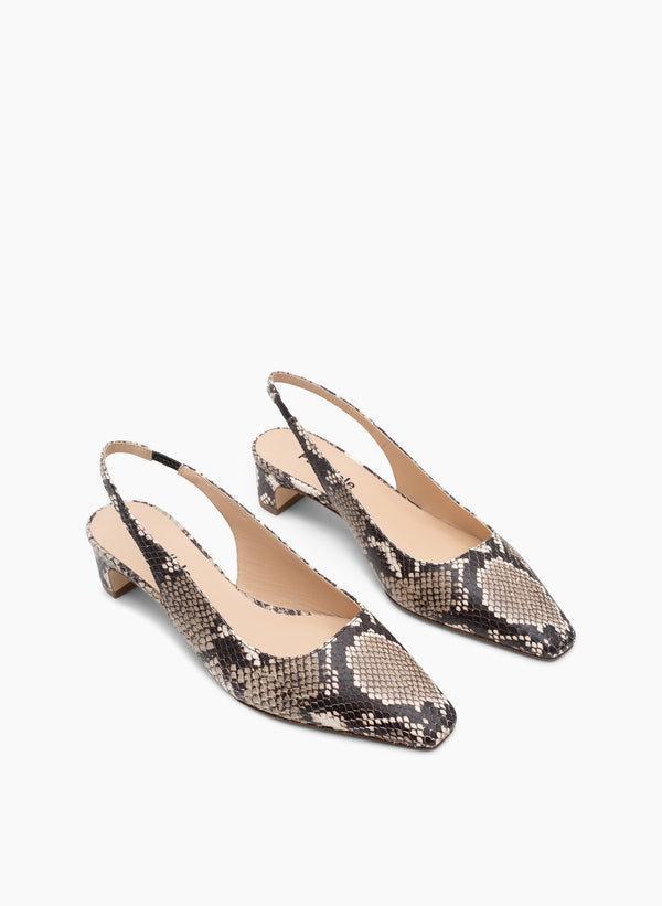 Parallèle NEVADA –