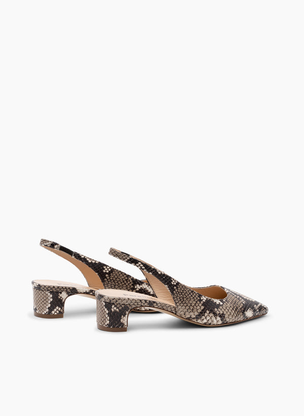 Parallèle NEVADA –