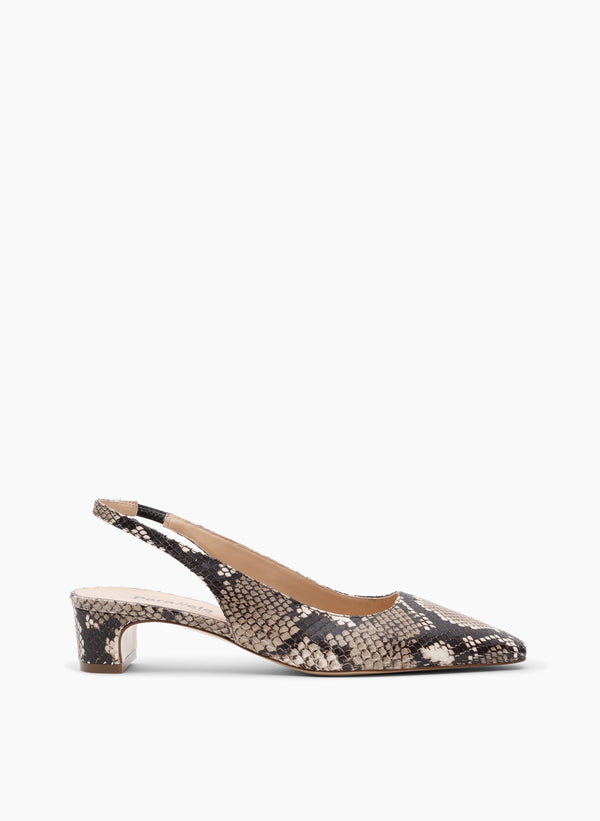 parallèle NEVADA –