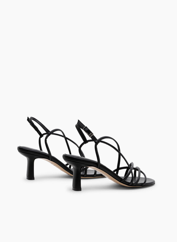 Parallèle PILAR –