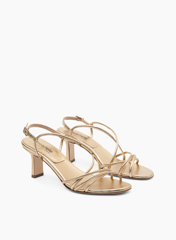 Parallèle PILAR –