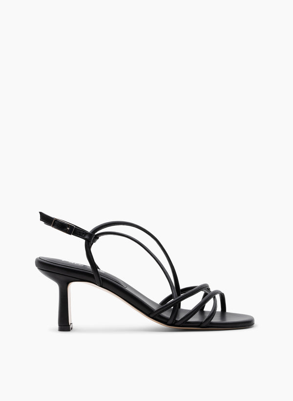 parallèle PILAR –