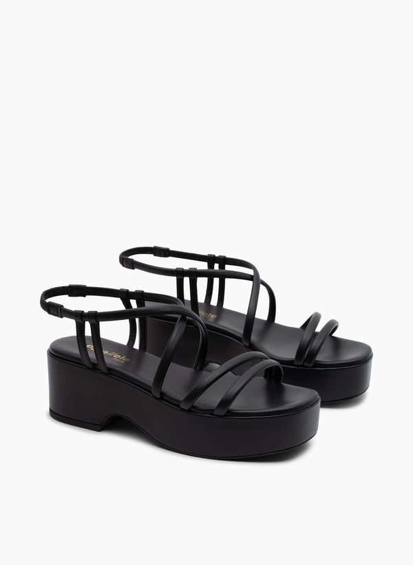 Parallèle PINIA –