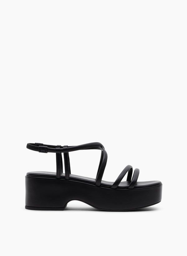 parallèle PINIA –