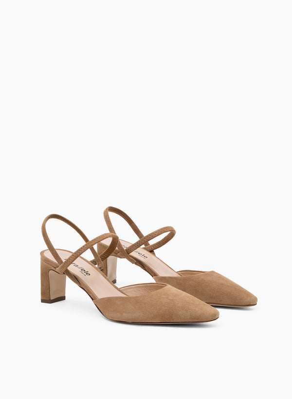 Parallèle PINTO –