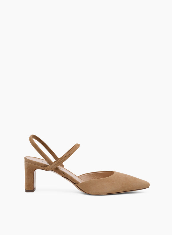 parallèle PINTO –