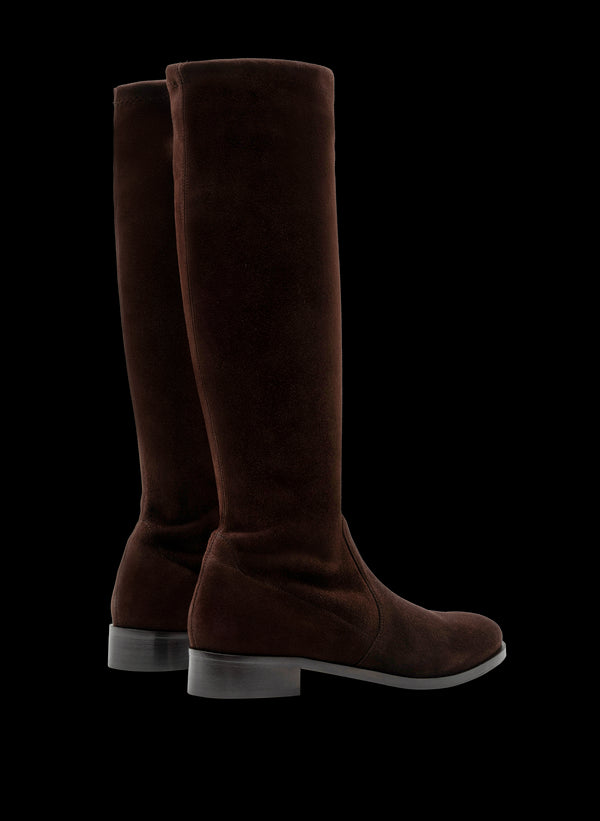 Parallèle RIVAS –