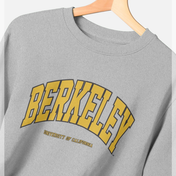 parka london Park Fields Berkeley University of California Arch Grey Sweatshirt