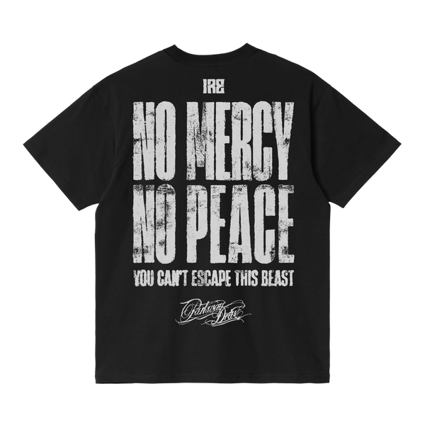 Parkway Drive IRE 10 Year Anniversary - IRE T-Shirt & Hat Bundle