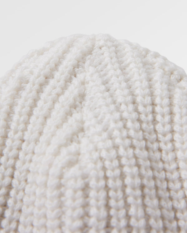Passenger Beechwood Fleece Lined Recycled Beanie