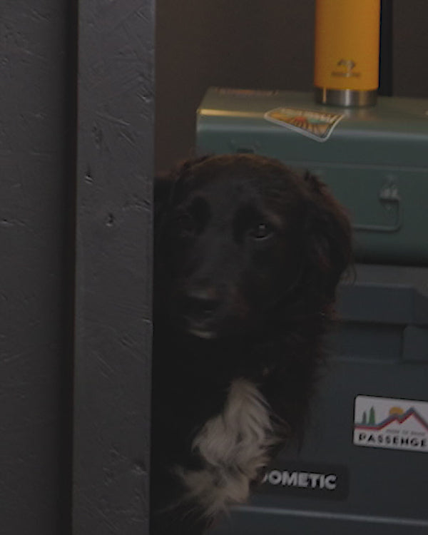 Passenger Nikwax TX Direct Wash In Waterproofer