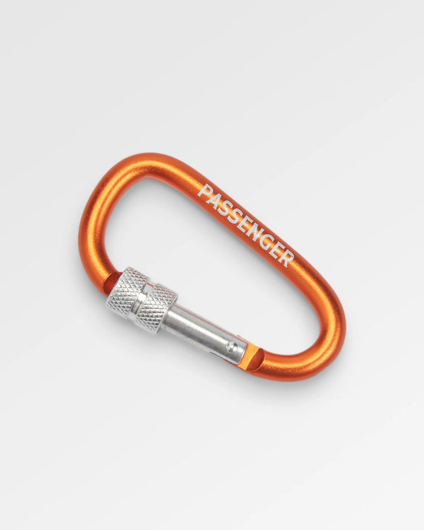 passenger Passenger Clip