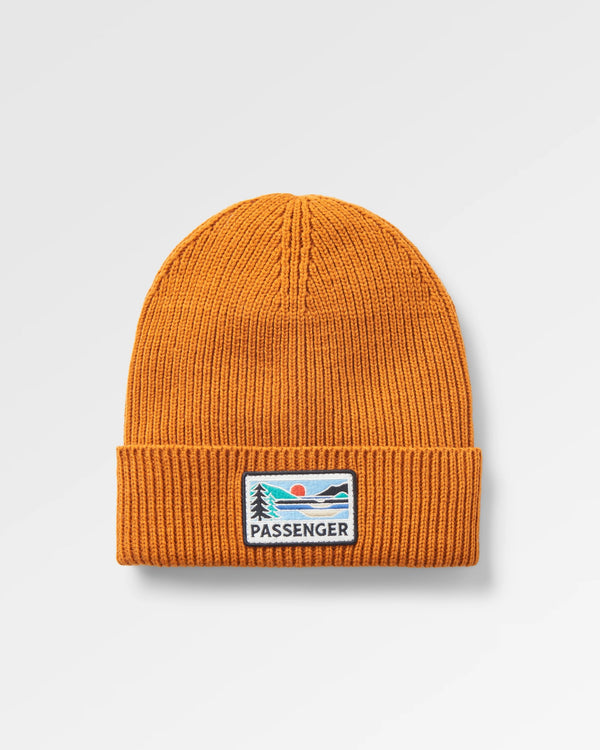 passenger Passenger Recycled Beanie