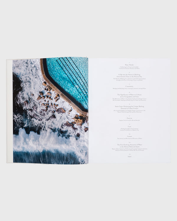 Passenger The Nature Of Swimming