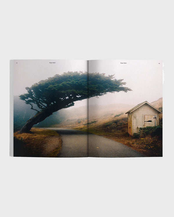 Passenger Waves & Woods Issue 39