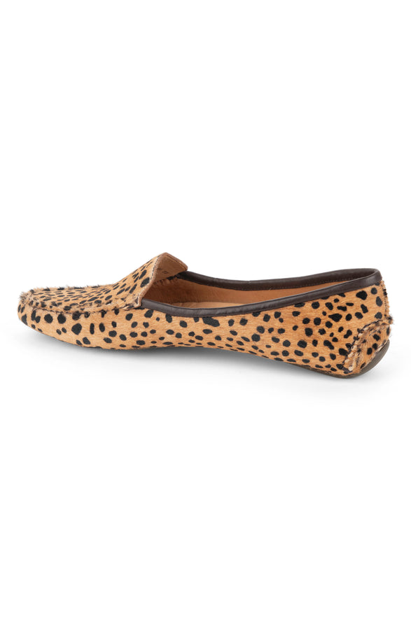 Patricia Green Patricia Green Women’s Jillian Driving Moccasin In Haircalf In Tan & Black Spotted