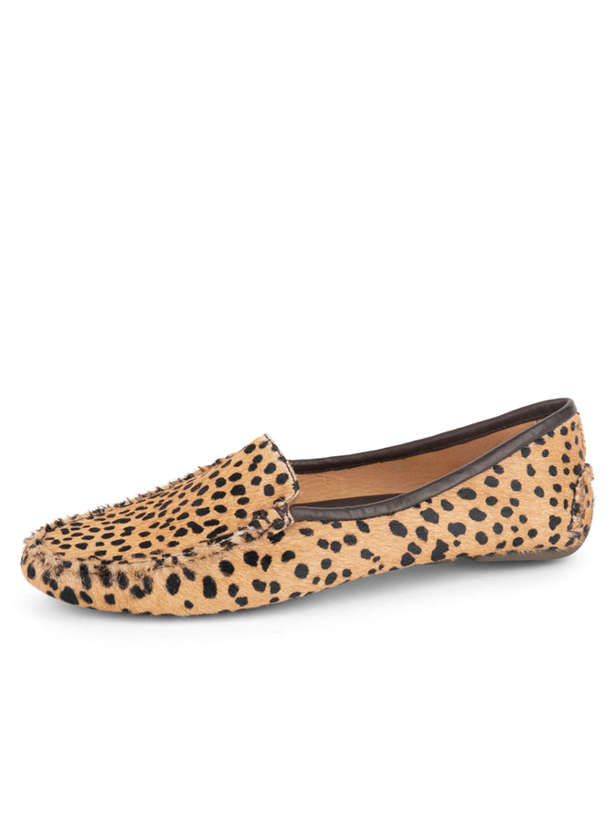 patricia green Patricia Green Women’s Jillian Driving Moccasin in Haircalf in Tan & Black Spotted patricia green Patricia Green Women’s Jillian Driving Moccasin in Haircalf in Tan & Black Spotted