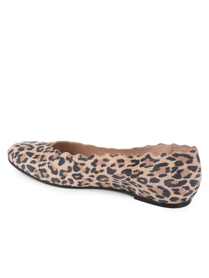 Patricia Green Patricia Green Women’s Palm Beach Ballet Flat In Leopard Suede