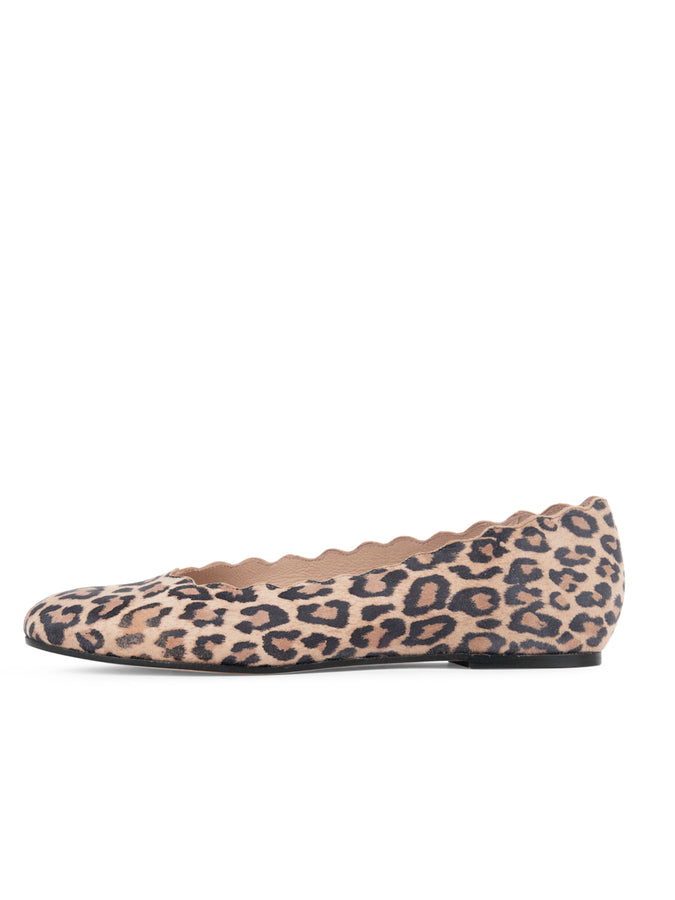 Patricia Green Patricia Green Women’s Palm Beach Ballet Flat In Leopard Suede