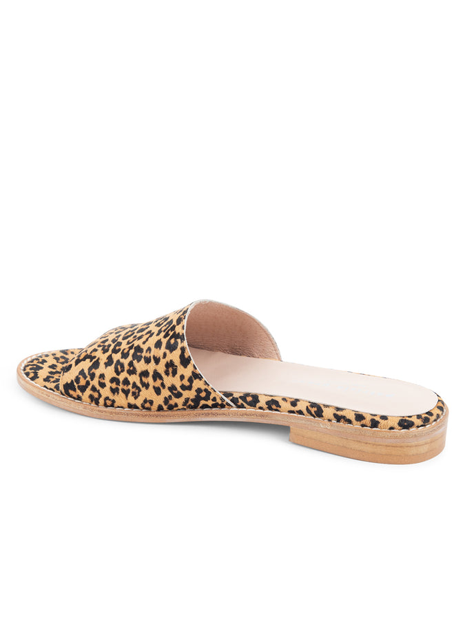 Patricia Green Patricia Green Women’s Tucson Slide Flat Sandal In Leopard