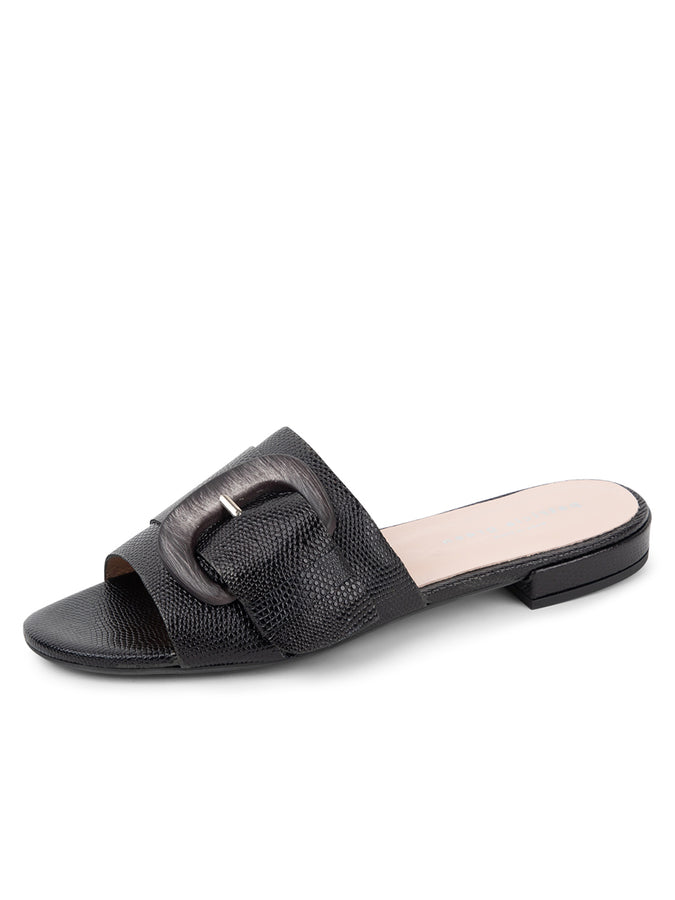 patricia green Patricia Green Women’s Venice Buckle Sandal in Black patricia green Patricia Green Women’s Venice Buckle Sandal in Black
