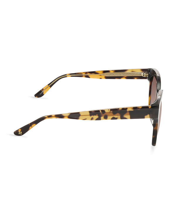 Patricia Nash Audrey Sunglasses Tortoise