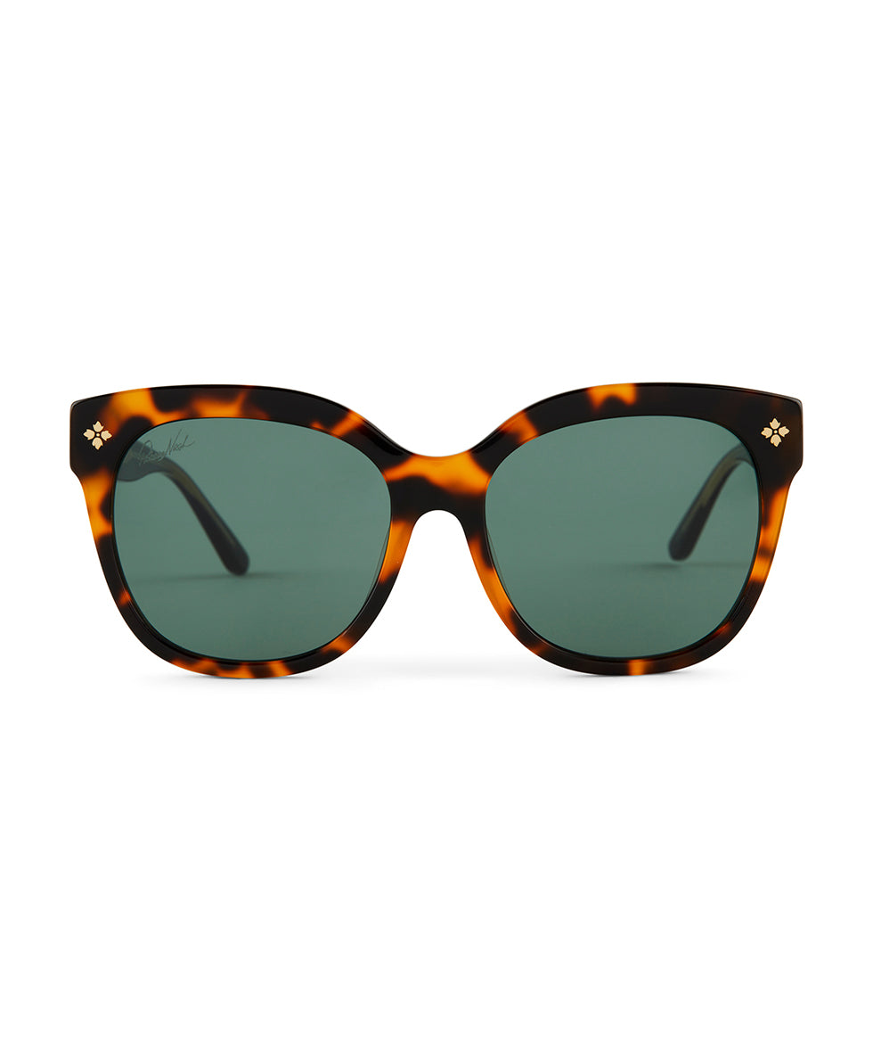patricia nash Audrey Sunglasses Tortoise/Black