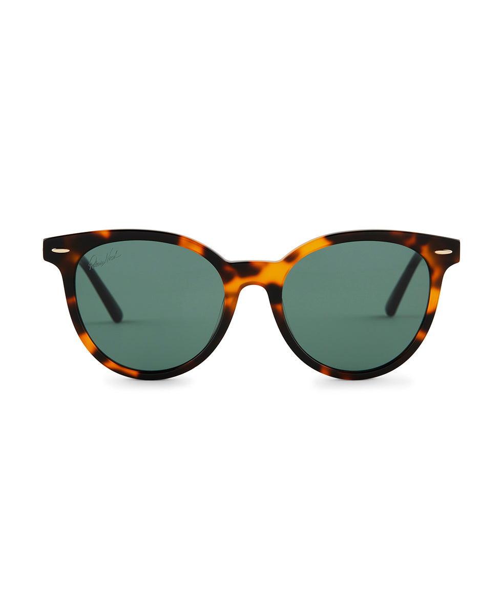 patricia nash Blondie Sunglasses Tortoise
