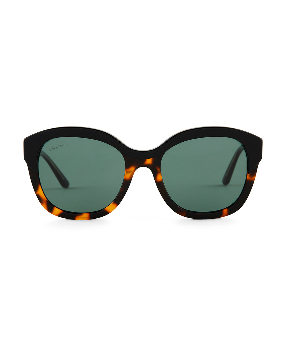 patricia nash Hutton Sunglasses Tortoise/Black