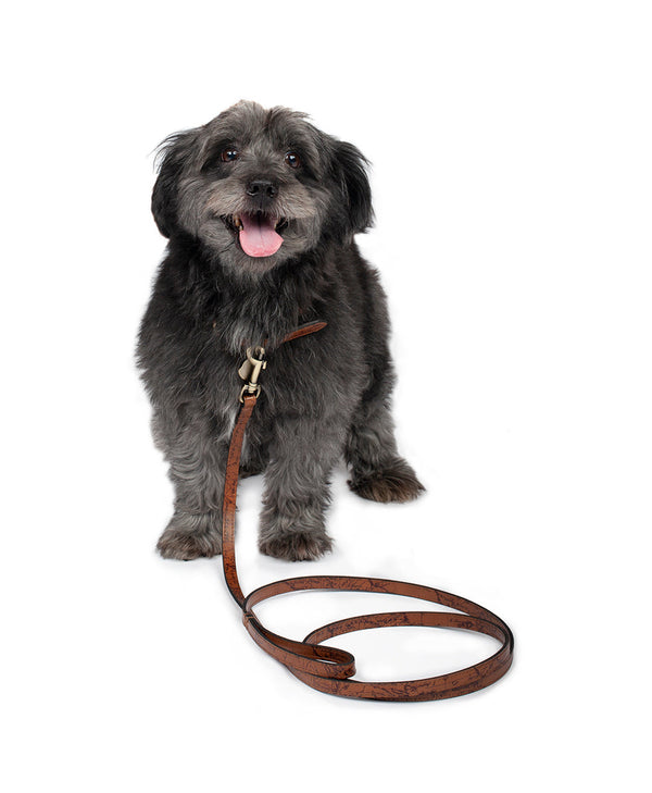 Patricia Nash Pet Leash 1/2" Width Tooled