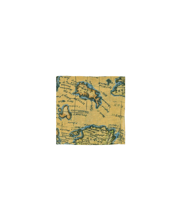 Patricia Nash Square Scarf European Map
