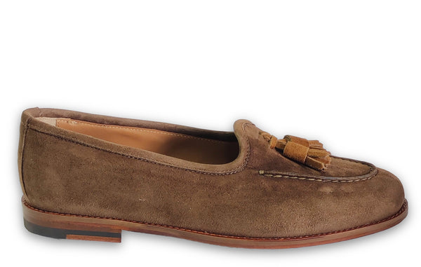 Patrizio Dolci College Sofia Brown