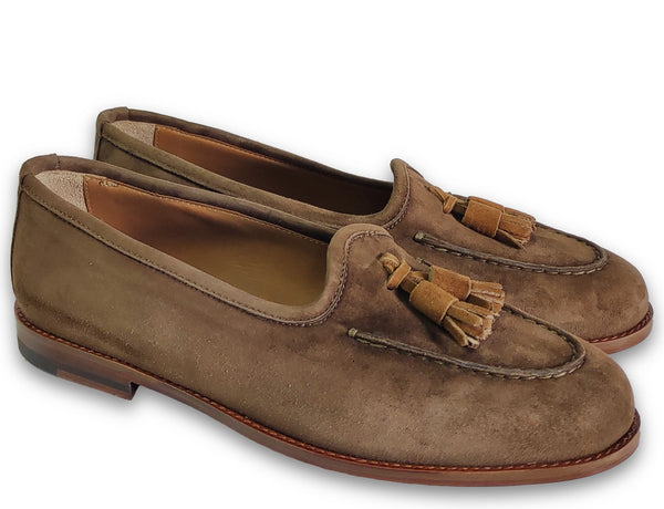 patrizio dolci College Sofia Brown