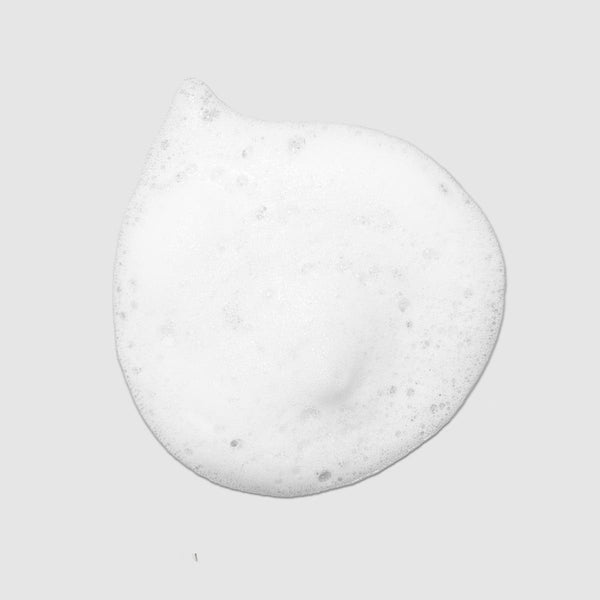 Paul Mitchell Lavender Mint Curl Refresh Foam