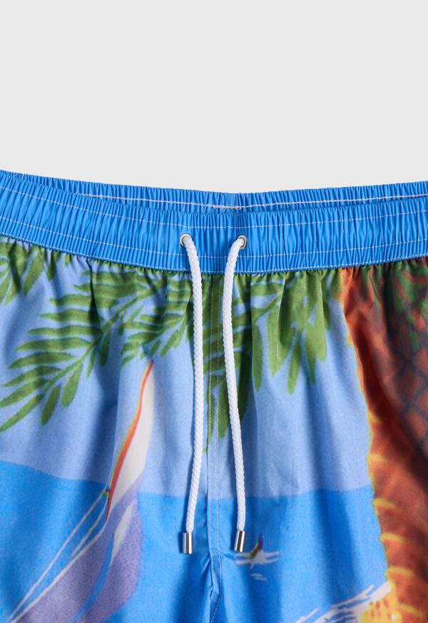Paul Stuart Beach Scene Swim Trunk