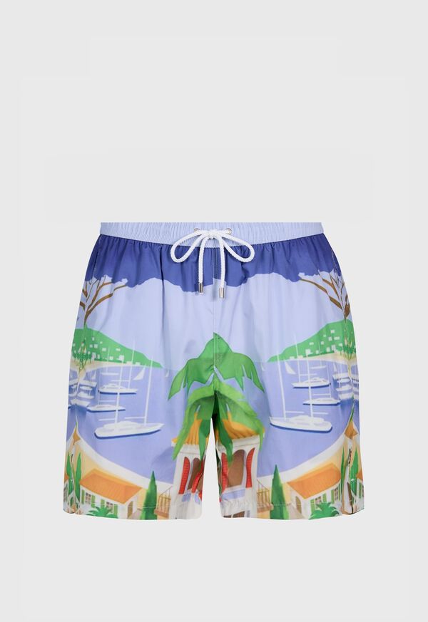paul stuart Palm Tree and Lake Scene Swim Trunk