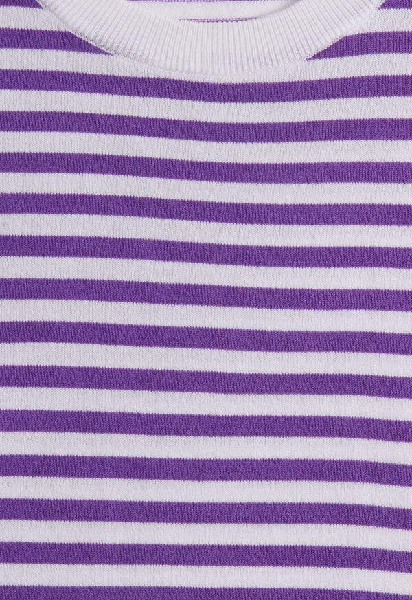Paul Stuart Stripe Knit Short Sleeve Crewneck