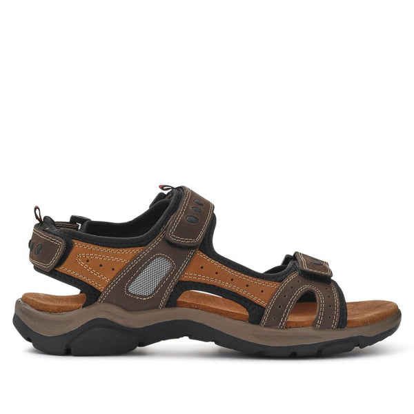 pavers Casual Leather Sandals - Brown