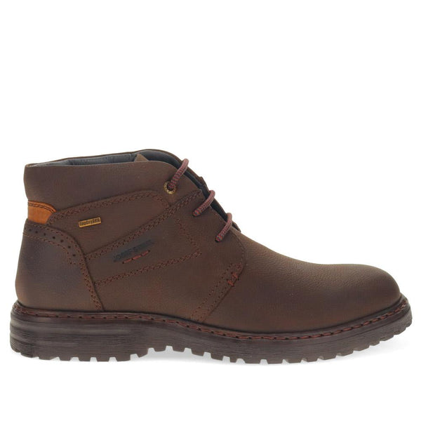 pavers Leather Ankle Boots - Brown