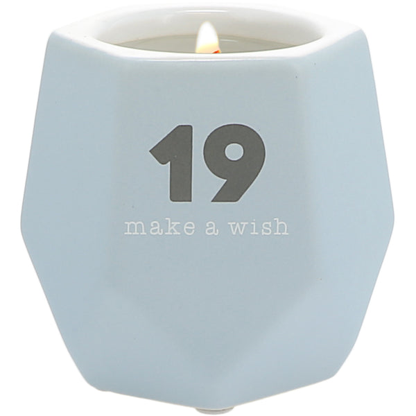 pavilion gift company 19 8 oz - 100% Soy Wax Candle Scent: Tranquility