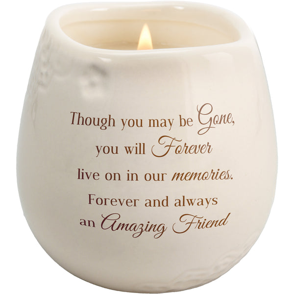 pavilion gift company Amazing Friend 8 oz - 100% Soy Wax Candle Scent: Tranquility